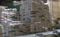 22 doanh nghiệp mở tờ khai xuất khẩu gạo nhưng không có giá trị làm thủ tục hải quan