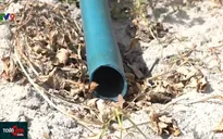 Đất canh tác bị bỏ hoang do nắng hạn, người dân Khánh Hòa rơi vào cảnh nhàn rỗi