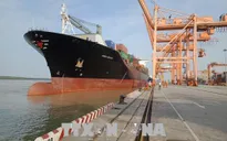 Hải Phòng có 49 bến cảng thuộc hệ thống cảng biển Việt Nam