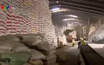 Nhiều bất cập nảy sinh khi áp hạn ngạch ngắn hạn cho hoạt động xuất khẩu gạo