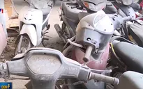 Nghị định 31 bổ sung: Giải pháp tránh lãng phí từ những phương tiện vi phạm