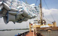 Doanh nghiệp gạo đẩy nhanh tiến độ hoàn thành đơn hàng
