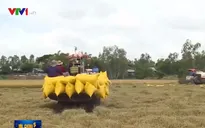 Bỏ cơ chế hạn ngạch - gỡ khó cho doanh nghiệp xuất khẩu gạo