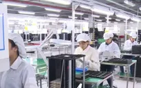 Doanh nghiệp có được đơn phương cắt hợp đồng lao động mùa dịch?