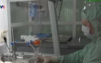 Nga nghiên cứu sử dụng "máu xanh" điều trị bệnh nhân COVID-19
