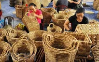 Bộ Tài chính đề nghị bổ sung thêm đối tượng được gia hạn nộp thuế và tiền thuê đất