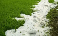 Miền Bắc vào mùa dông lốc, mưa đá