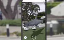 Thăm vườn bách thú 3D trong mùa dịch COVID-19 chỉ với Google Search