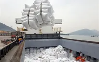Bộ Công Thương đề nghị cho phép tiếp tục xuất khẩu gạo nhưng phải kiểm soát chặt số lượng