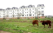 Gần 35.000 doanh nghiệp rút lui khỏi thị trường trong quý I/2020