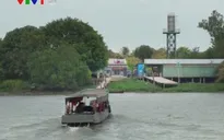 Cần Thơ cho mở lại một số bến đò ngang