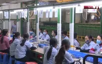 Dự kiến 20 triệu người sẽ được tham gia gói hỗ trợ 62.000 tỷ đồng