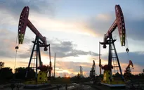 Fitch cảnh báo giá dầu Brent có thể rơi xuống mức “1 chữ số”