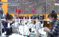 Cộng đồng người Việt tại Đức chung sức đẩy lùi dịch COVID-19