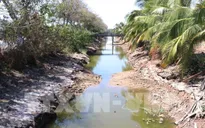 Đợt xâm nhập mặn mới tại Đồng bằng sông Cửu Long