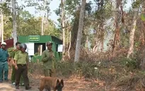 Khánh Hòa nỗ lực giảm điểm nóng về xâm hại rừng