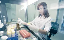 Thuốc tẩy giun Ivermectin có hiệu quả tốt trong điều trị COVID-19