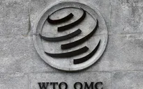 WTO cảnh báo thương mại toàn cầu giảm 1/3 do dịch COVID-19