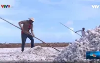 Nâng tầm hạt muối Việt