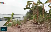 Đồng Tháp: Người dân lo lắng vì sạt lở gia tăng
