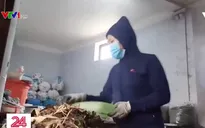 Thầy lang chữa bách bệnh, trị cả ung thư "tài năng" cỡ nào?
