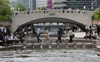 Hàn Quốc ghi nhận số ca nhiễm mới tăng trở lại ở mức hai con số