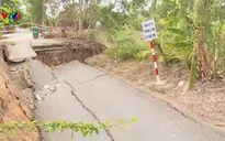 Sụt lún kinh hoàng vùng ngọt hóa Cà Mau