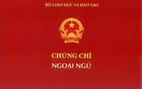 14 đơn vị được cấp chứng chỉ ngoại ngữ
