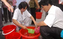 Chủ động phòng chống sốt xuất huyết, không để dịch lan rộng
