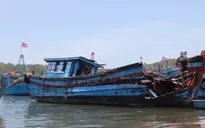 Tàu cá "phơi xác", choán hết diện tích neo đậu