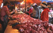 Dân "đỏ mắt" chờ, vì sao thịt lợn "giá rẻ" vẫn chỉ ở trên tivi?