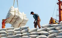 Doanh nghiệp "xù" hợp đồng gạo dự trữ quốc gia vẫn được tái đấu thầu