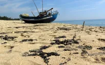 Chất thải màu đen vón cục, có mùi hôi tràn vào bờ biển Quảng Ngãi