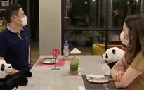 Thưởng thức ẩm thực cùng gấu trúc tại Thái Lan