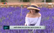 Liên kết phục hồi du lịch