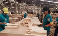 Kịch bản tăng trưởng nào cho ngành gỗ Việt Nam sau dịch COVID-19?