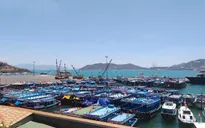 Dừng hoạt động bến tàu du lịch Cầu Đá (Nha Trang) bị quá tải trong nhiều năm