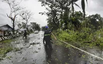 Bão Vongfong gây thiệt hại nặng nề tại Philippines