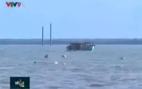 Dự án điện gió Tân Thuận - Cà Mau không lấn sang tỉnh Bạc Liêu