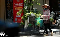 Viễn cảnh cuộc sống hậu COVID-19: Phục hồi, vực dậy hay tái tạo?