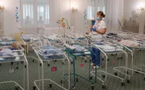 Những em bé bị mắc kẹt tại Ukraine vì COVID-19