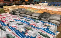 Myanmar thu giữ lượng ma túy tổng hợp lớn nhất Đông Nam Á
