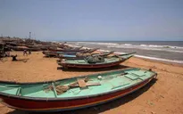 Siêu bão Amphan sắp đổ bộ miền Đông Ấn Độ và Bangladesh