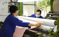 Preparing conditions to revive the economy