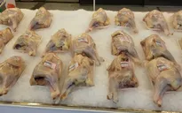 Thịt gà công nghiệp giá rẻ như rau