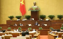 Kiến nghị không đưa hộ kinh doanh vào dự thảo Luật Doanh nghiệp sửa đổi