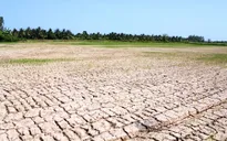 Thủ tướng yêu cầu tập trung ứng phó nắng hạn, không để người dân thiếu nước