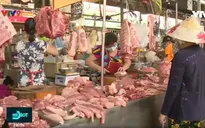 Ngịch lý giá thịt heo - giải pháp nào để bình ổn giá?