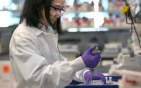 Mỹ đặt hàng trước 300 triệu liều vaccine của hãng AstraZeneca