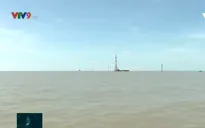 Tạm ngưng thi công 5 trụ điện thuộc Dự án điện gió Tân Thuận, Cà Mau